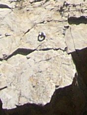 bolt