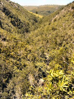 salt-river-gorge-southview-x